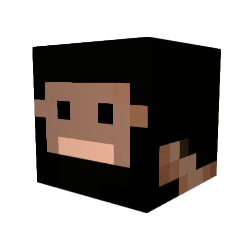 shinwant Minecraft avatar head, 3D render