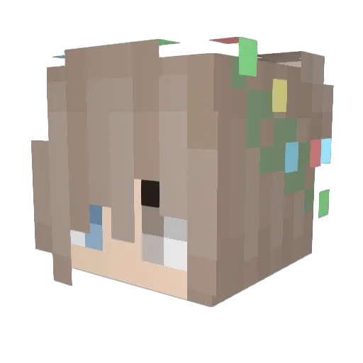 shiny9999 Minecraft avatar head, 3D render