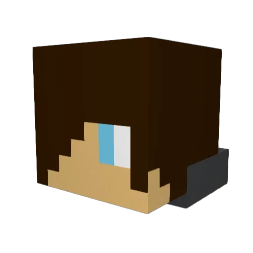 shinydog7 Minecraft avatar head, 3D render
