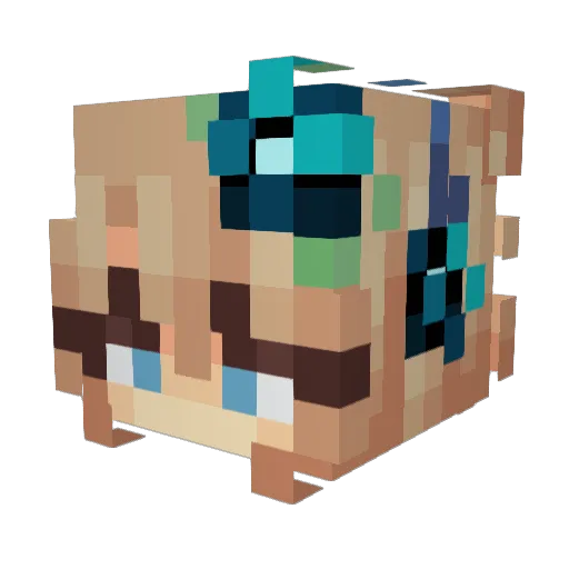 shinyhedgehog Minecraft avatar head, 3D render
