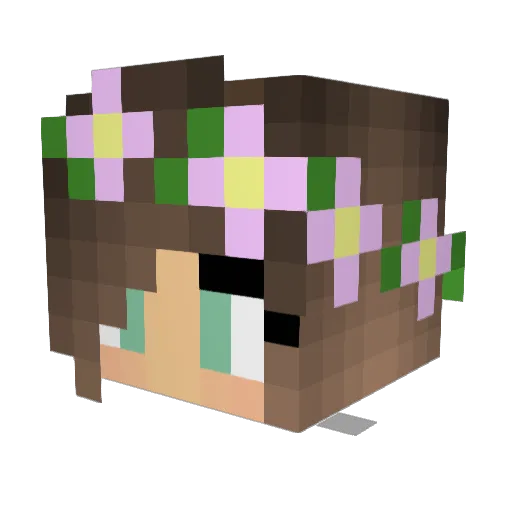 shinysparkles Minecraft avatar head, 3D render