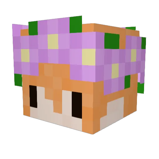 shinytie Minecraft avatar head, 3D render