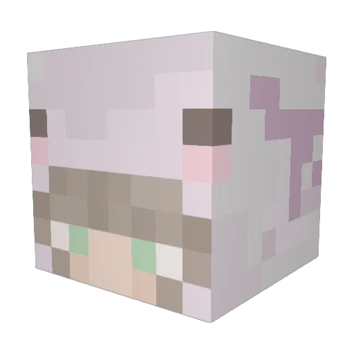 shinywoopers Minecraft avatar head, 3D render