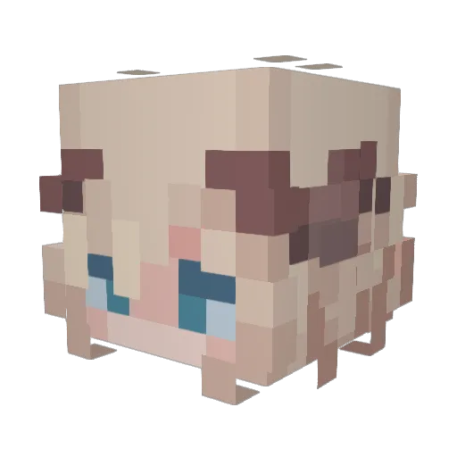 shinzay Minecraft avatar head, 3D render