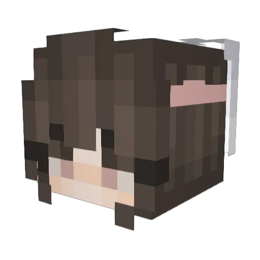 shiokuma Minecraft avatar head, 3D render
