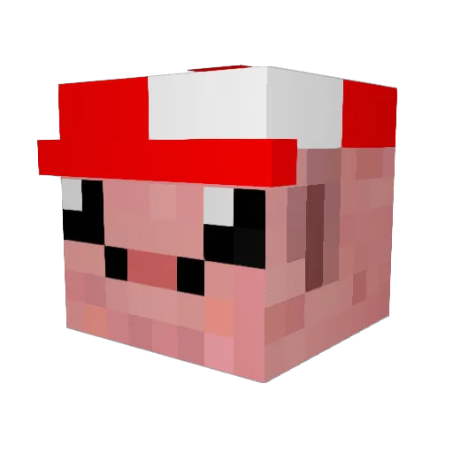 shipopy Minecraft avatar head, 3D render
