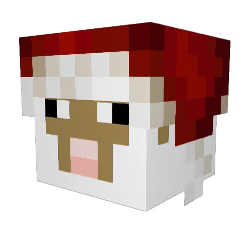 shippa Minecraft avatar head, 3D render