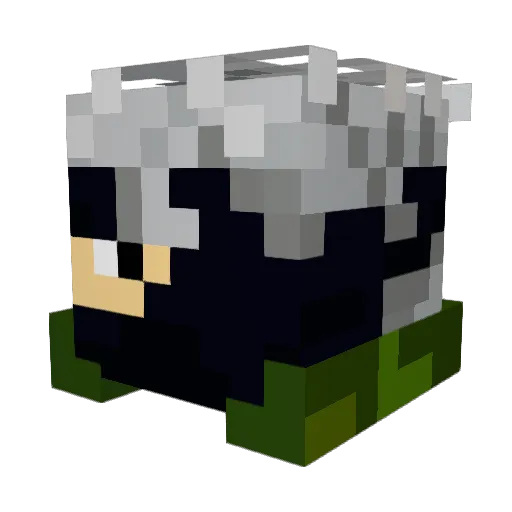shipsmaster09 Minecraft avatar head, 3D render