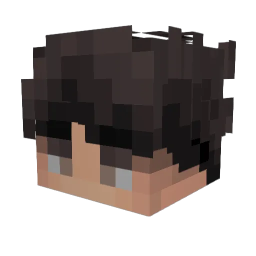 shipx Minecraft avatar head, 3D render
