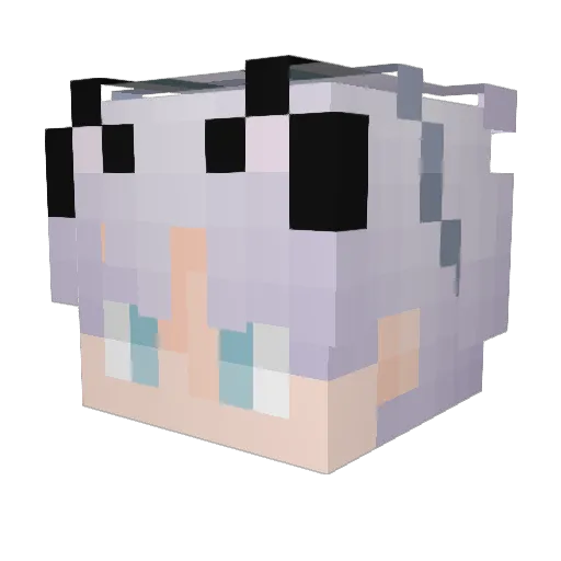 shir13 Minecraft avatar head, 3D render