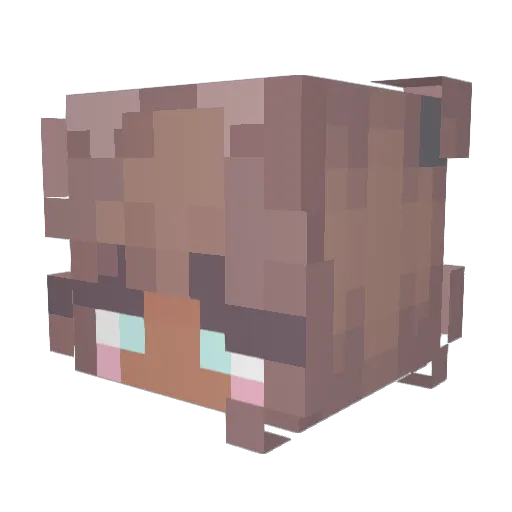 shirashalom Minecraft avatar head, 3D render