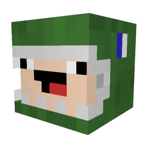 shirayuri Minecraft avatar head, 3D render