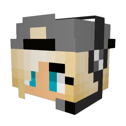 shirgel Minecraft avatar head, 3D render
