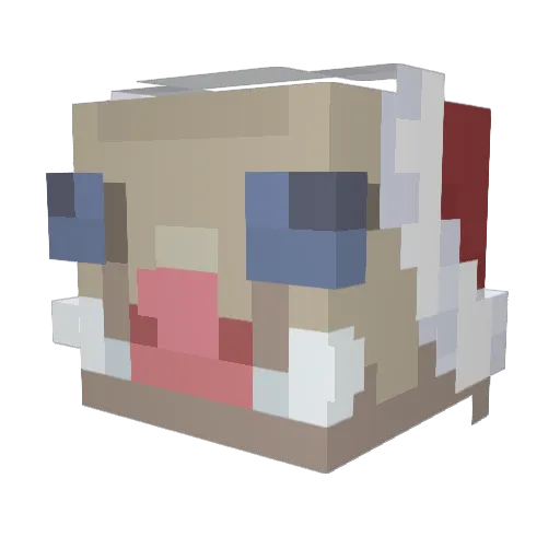 shiro4mi Minecraft avatar head, 3D render