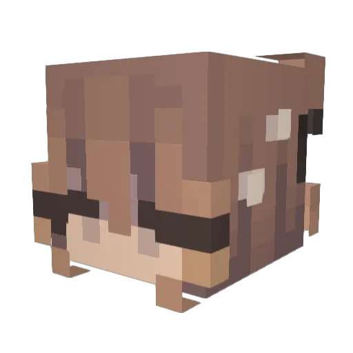 shiro_o7 Minecraft avatar head, 3D render