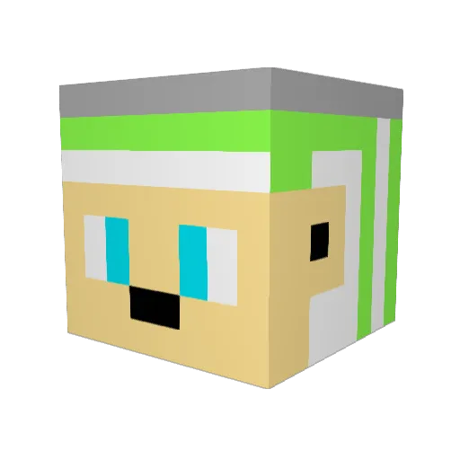 shirokuma23 Minecraft avatar head, 3D render