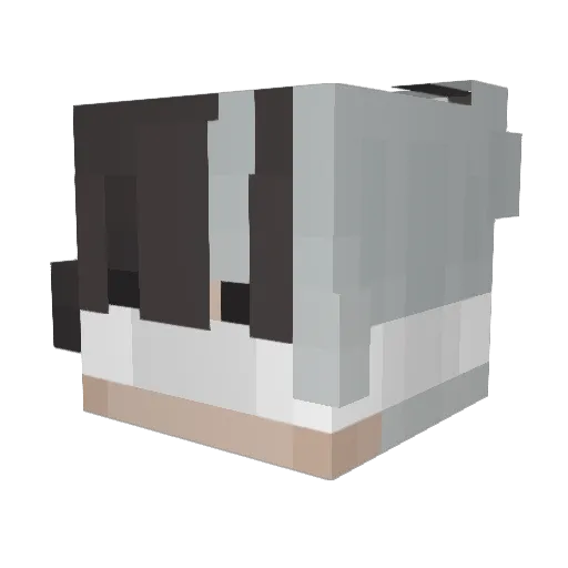 shirosblade Minecraft avatar head, 3D render