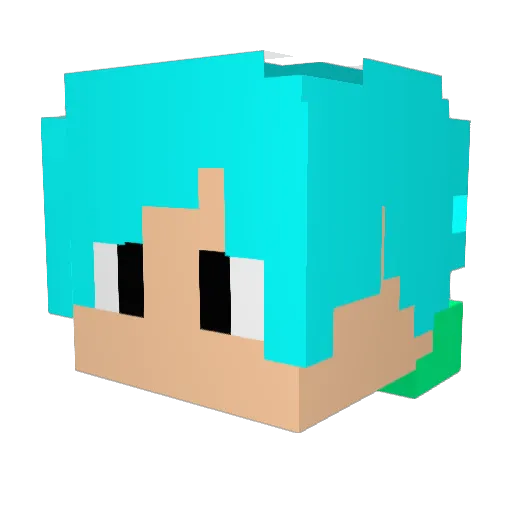 shishi1024 Minecraft avatar head, 3D render