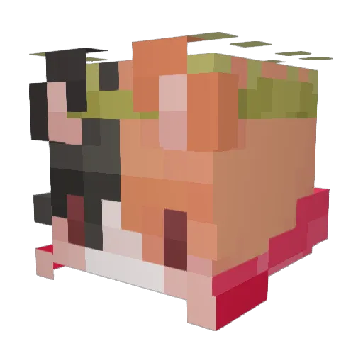 shishuupool Minecraft avatar head, 3D render