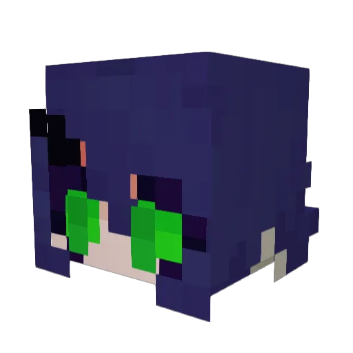 shiwonzhi Minecraft avatar head, 3D render