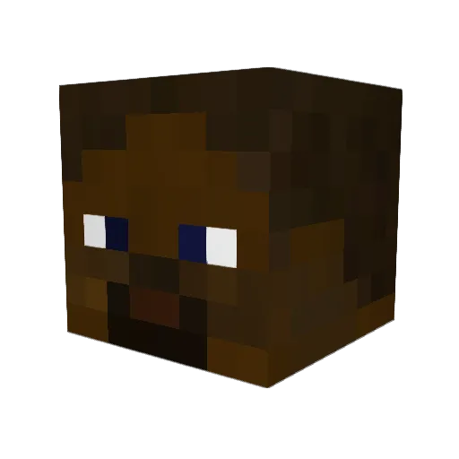shiwuman Minecraft avatar head, 3D render