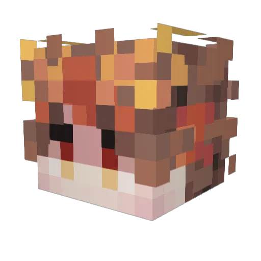 shiyukiop Minecraft avatar head, 3D render