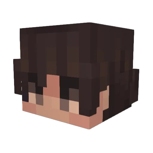 shizerx00 Minecraft avatar head, 3D render