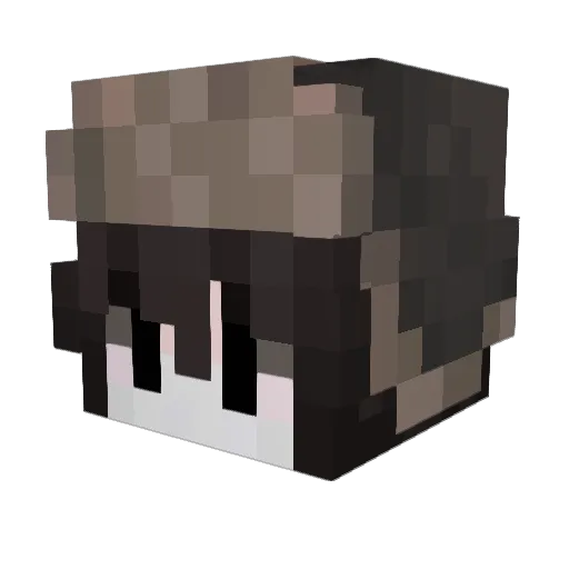shizofrustration Minecraft avatar head, 3D render