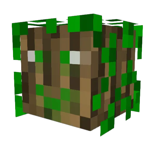 shizu421 Minecraft avatar head, 3D render