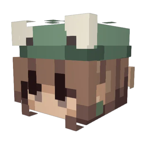 shizubee Minecraft avatar head, 3D render