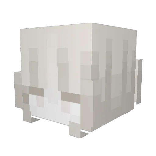 shizun_ Minecraft avatar head, 3D render