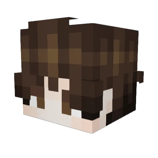 shj3wz Minecraft avatar head, 3D render