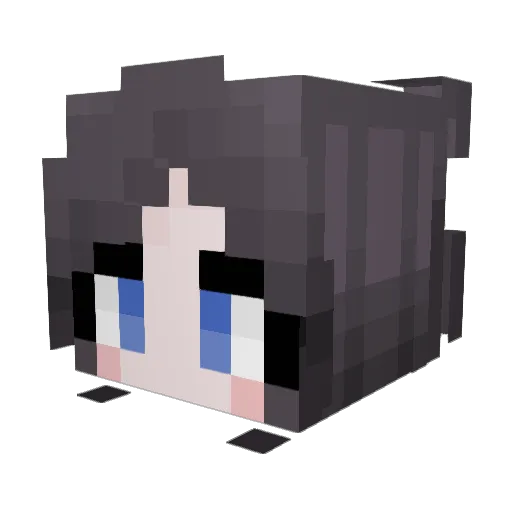 shkworld_kr Minecraft avatar head, 3D render