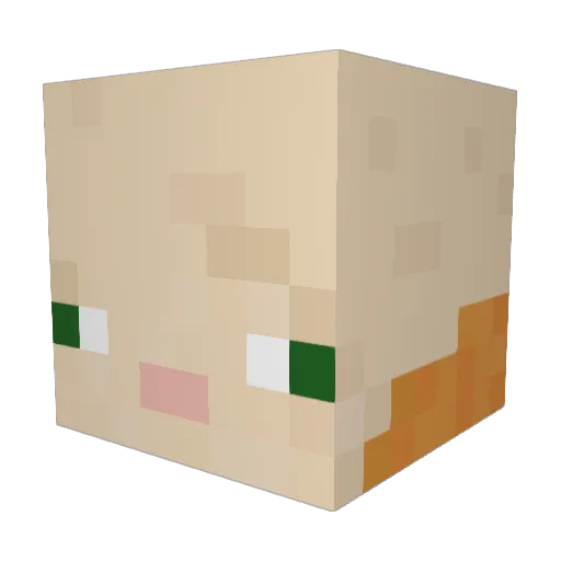 shlamess Minecraft avatar head, 3D render
