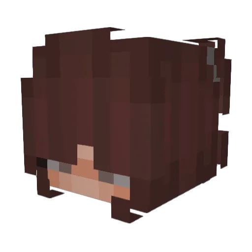 shleepie Minecraft avatar head, 3D render