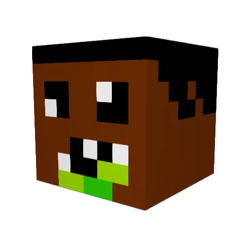 shlepapala Minecraft avatar head, 3D render