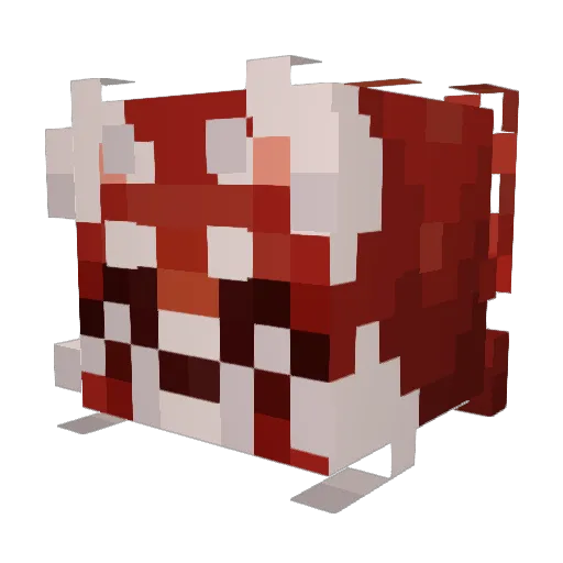 shmalub Minecraft avatar head, 3D render