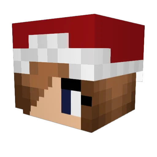 shmee405 Minecraft avatar head, 3D render