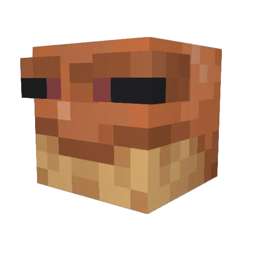 shmegh1 Minecraft avatar head, 3D render