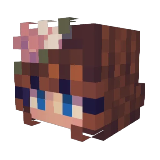 shmegls Minecraft avatar head, 3D render