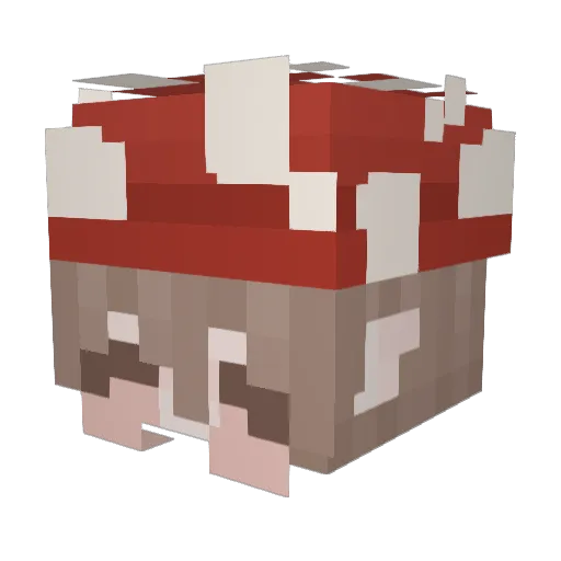 shmemmaa Minecraft avatar head, 3D render