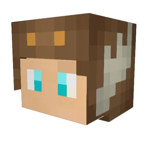 shmiffin Minecraft avatar head, 3D render