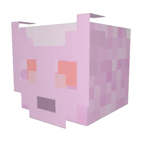 shmiker67 Minecraft avatar head, 3D render