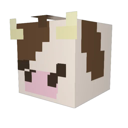 shmooah Minecraft avatar head, 3D render
