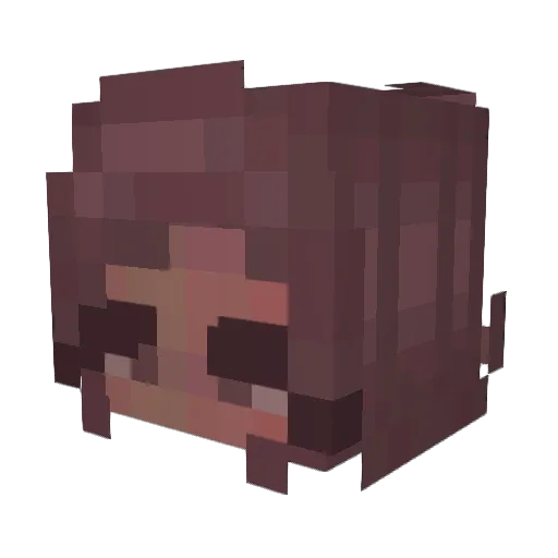 shmoopsky Minecraft avatar head, 3D render