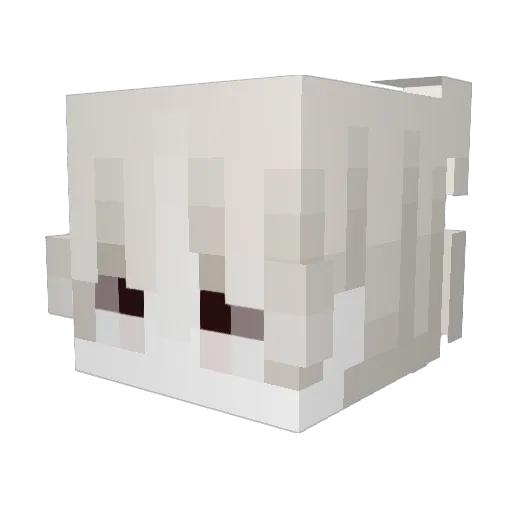 shnd Minecraft avatar head, 3D render