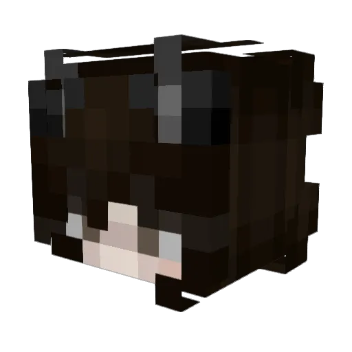 shodnic Minecraft avatar head, 3D render