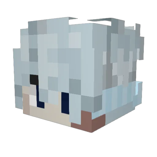 shoe6 Minecraft avatar head, 3D render