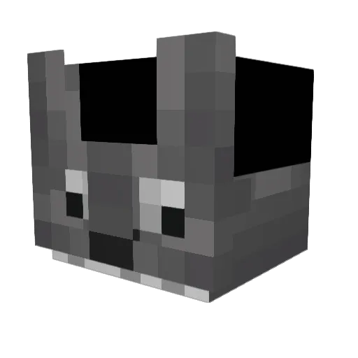 shoe777 Minecraft avatar head, 3D render