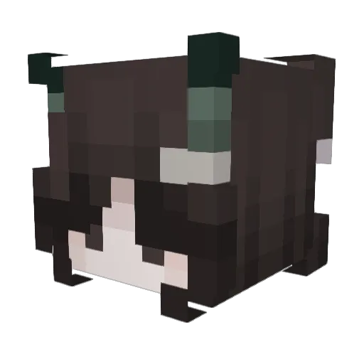 shoebooties Minecraft avatar head, 3D render